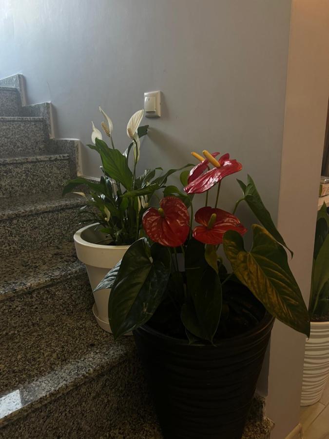קבריאטי Villa Residence מראה חיצוני תמונה